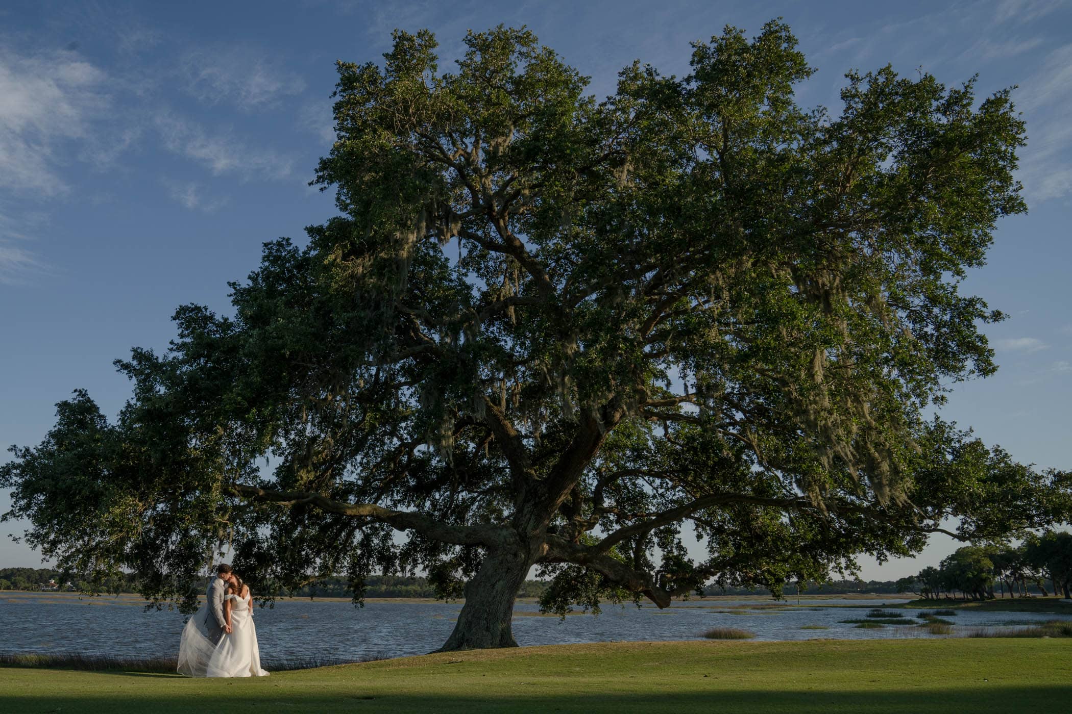 Bride and groom under huge oak tree Dataw Island Club House by Susan DeLoach Photography SC wedding photographers